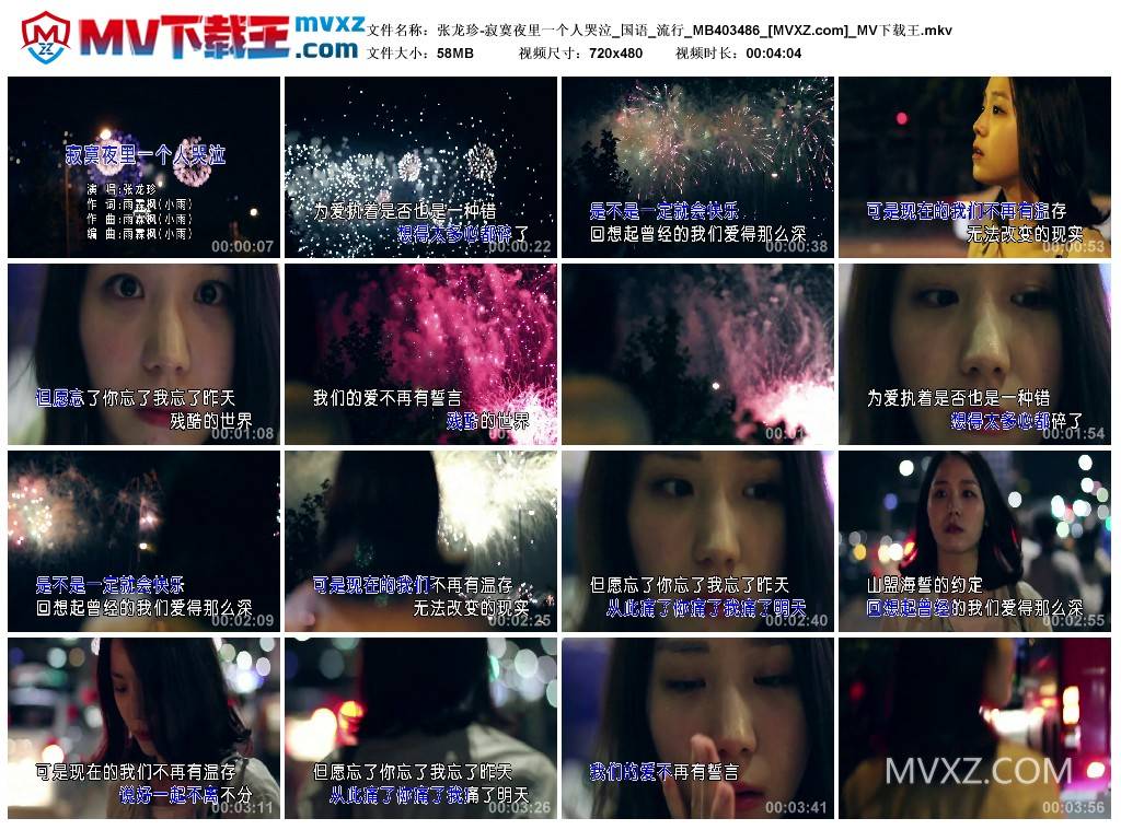 张龙珍-寂寞夜里一个人哭泣_国语_流行_MB403486